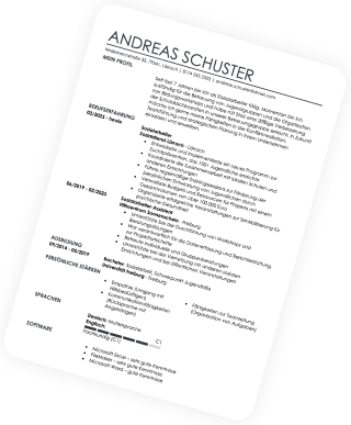 CV Example Blue