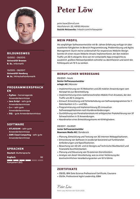 muster lebenslauf informatiker