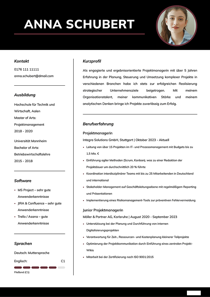 lebenslauf vorlage professionell