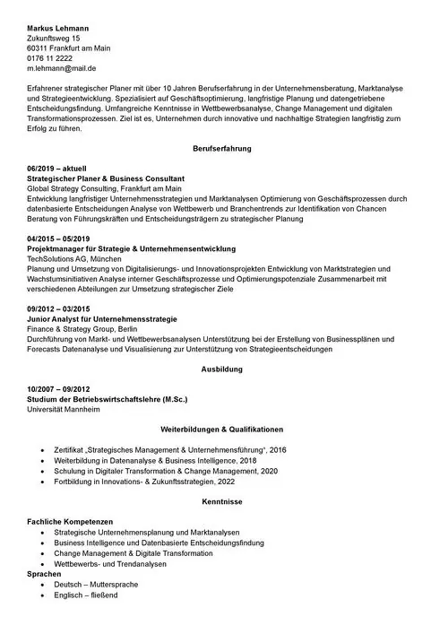 Lebenslauf als strategischer Planer