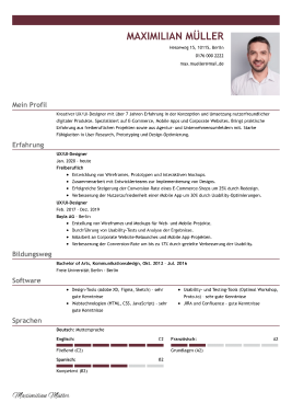 lebenslauf vorlage professionell rot