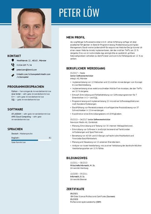 Stepstone Lebenslauf Generator