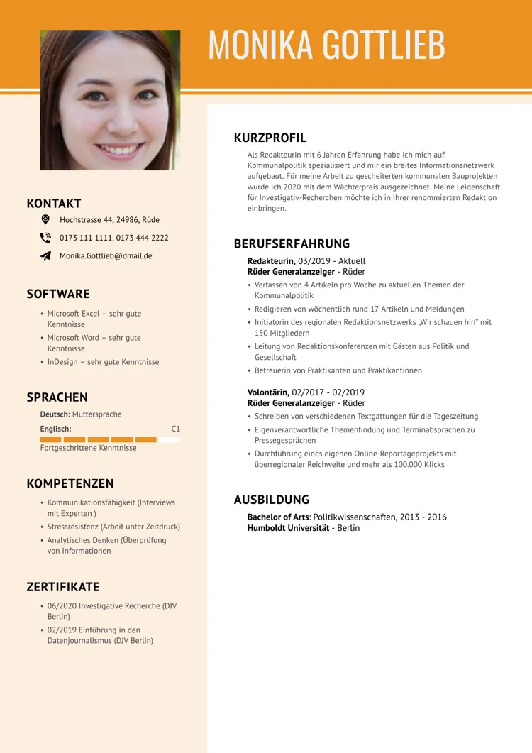 professioneller cv